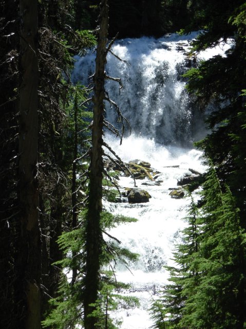 Summer '06 Sunriver 294 